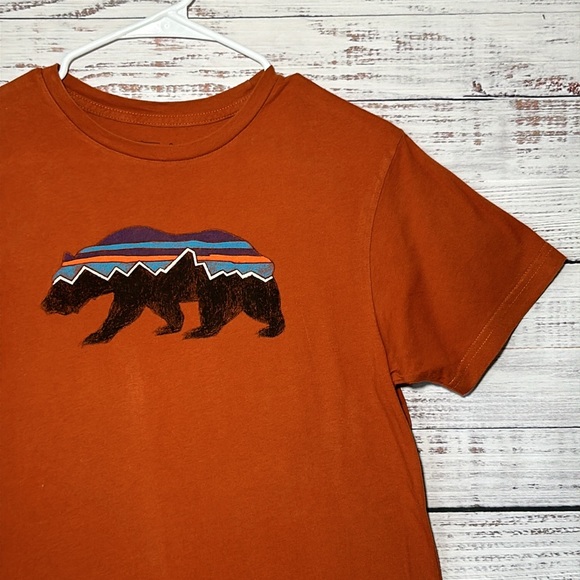 Patagonia Fitz Roy Bear Organic T-Shirt Small Slim Fit - Picture 7 of 16